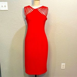 Ronni Nicole coral dress